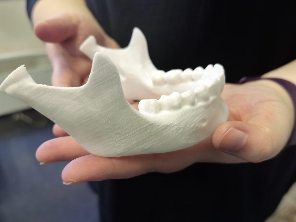 Bones Of The Skull 3d Printed (3)