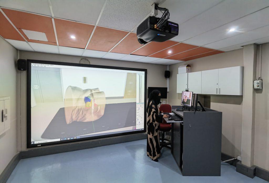 Mirs Vert Projection (17)