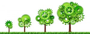 Green Economy