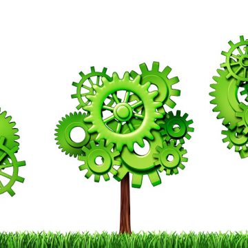 Green Economy