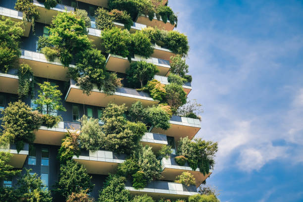 Sustainable City