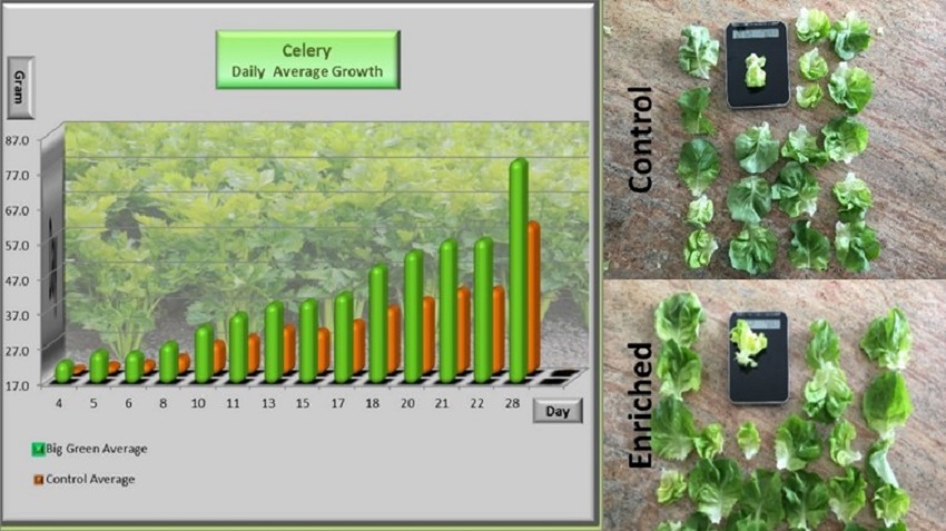 Image 4 – Carbon Enrichment Through Foliar Spray