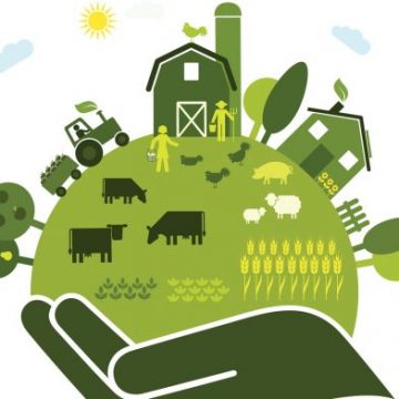 Sustainable Food System 696x392