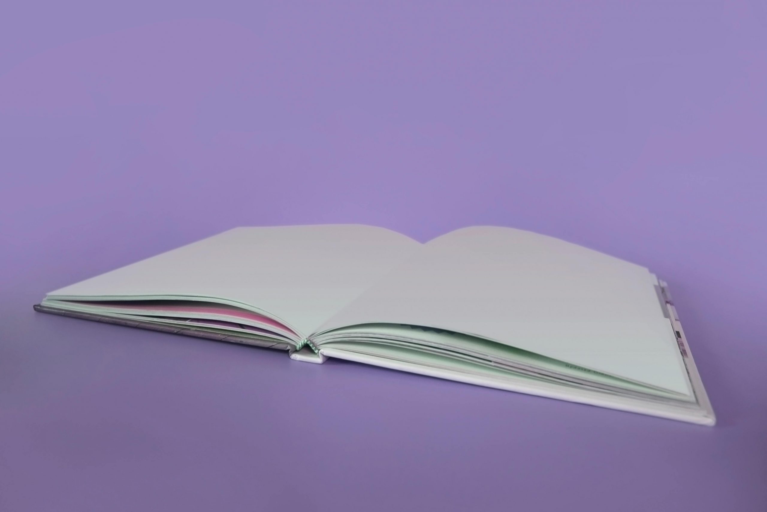 Published Book Chapter
