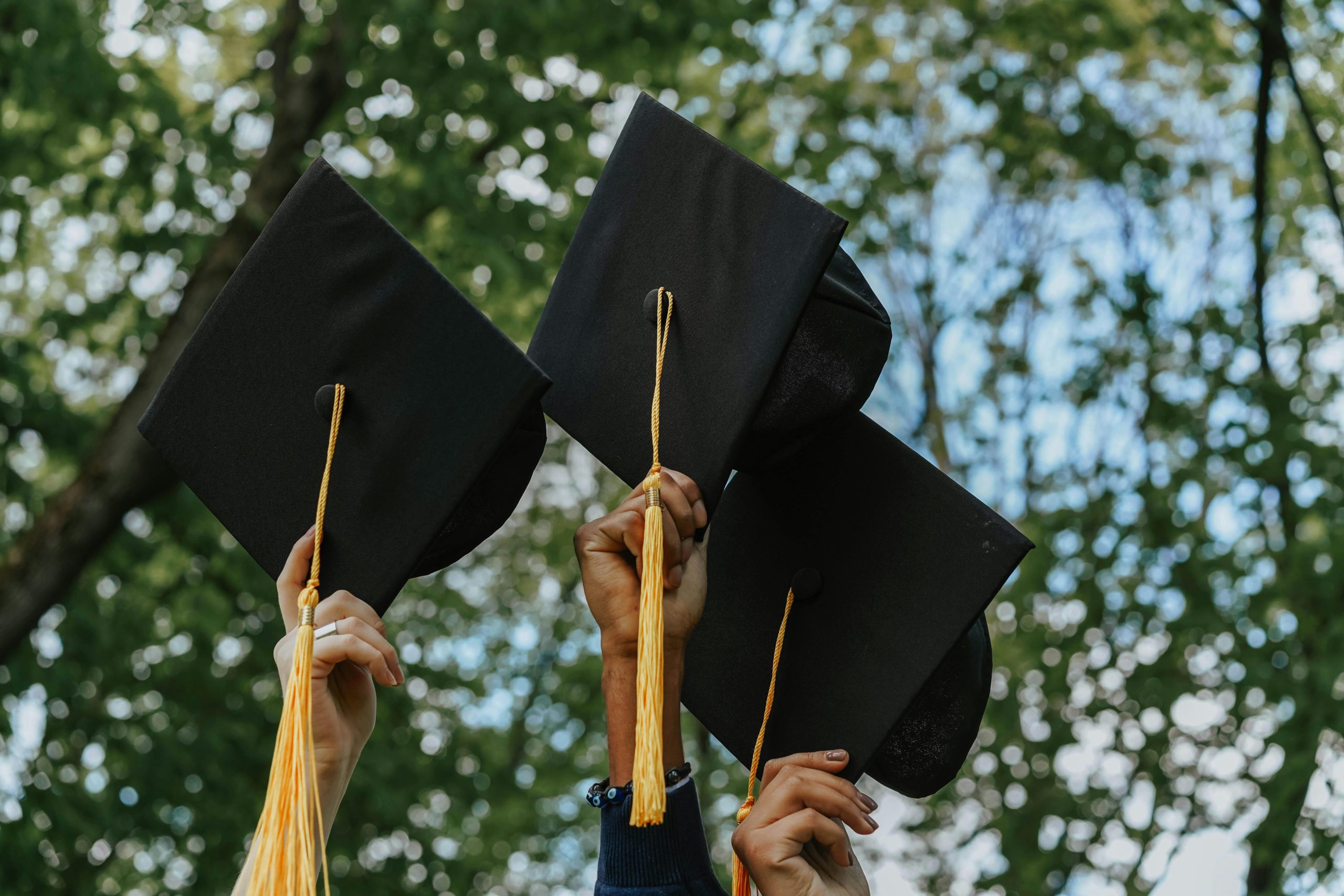 Equity, Access, and Success