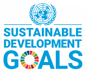 1 Sustainable Development Goals Logo.png